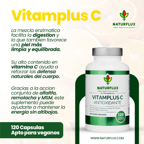 VITAMPLUS C - Vitamina C con complejo vegetal digestivo y antioxidante - 120 cápsulas